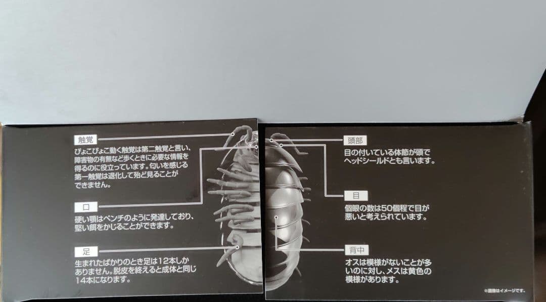 その他 BANDAI DANGO MUSHI LLIC