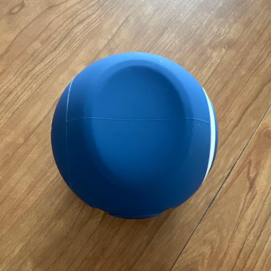 東急スポーツオアシス スタイリーボール