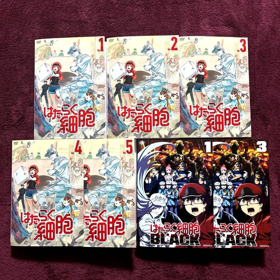 はたらく細胞 black DVD 計7巻セット
