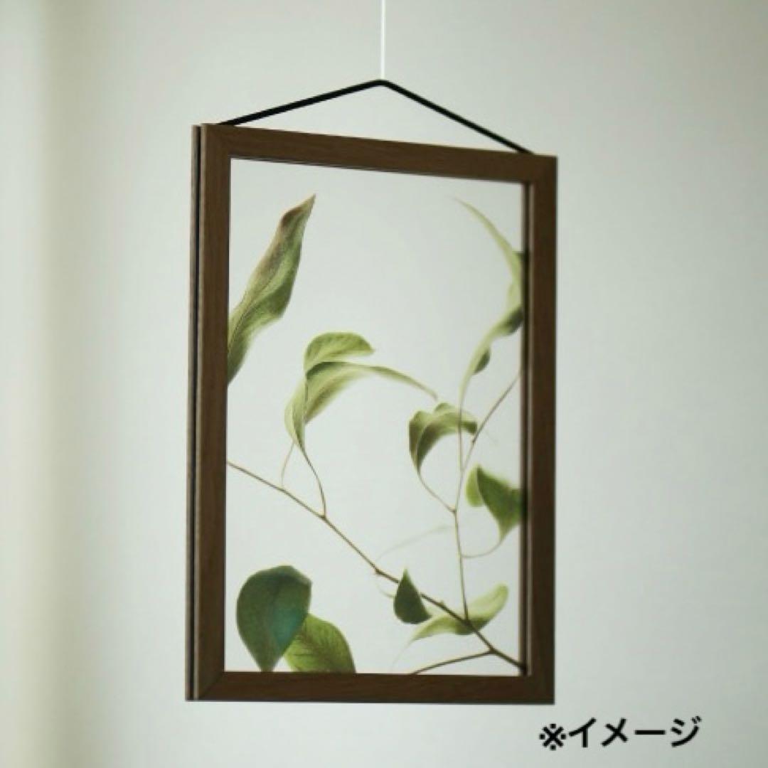 【Paper Collective】 クリアポスターA4＋【MOEBE】フレーム