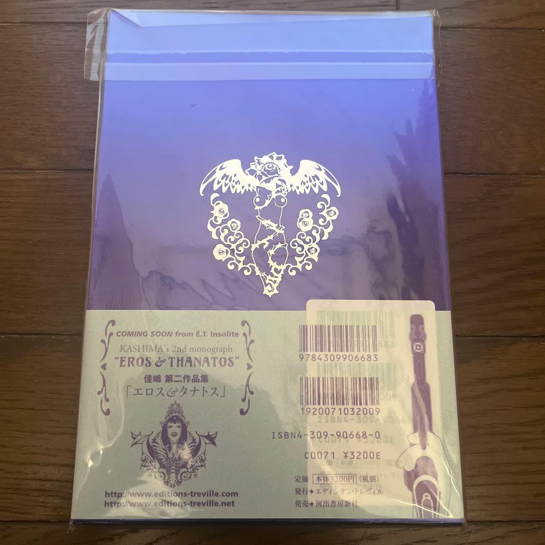 【希少】Sheer magic : 佳嶋作品集