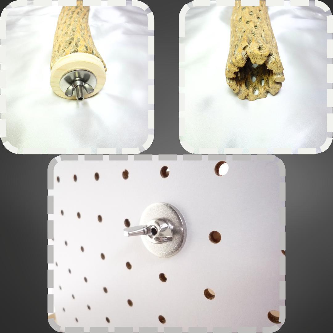 鳥用品　止まり木　カクタス　スケルトン　パーチ　超特大　No.233