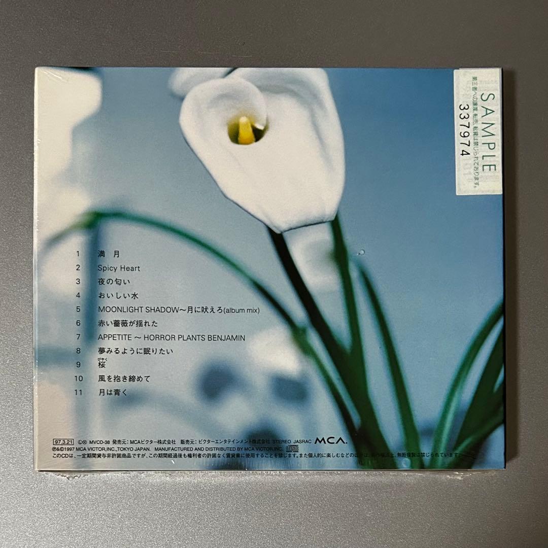 【新品・未開封・初回盤】　中森明菜　SHAKER sample