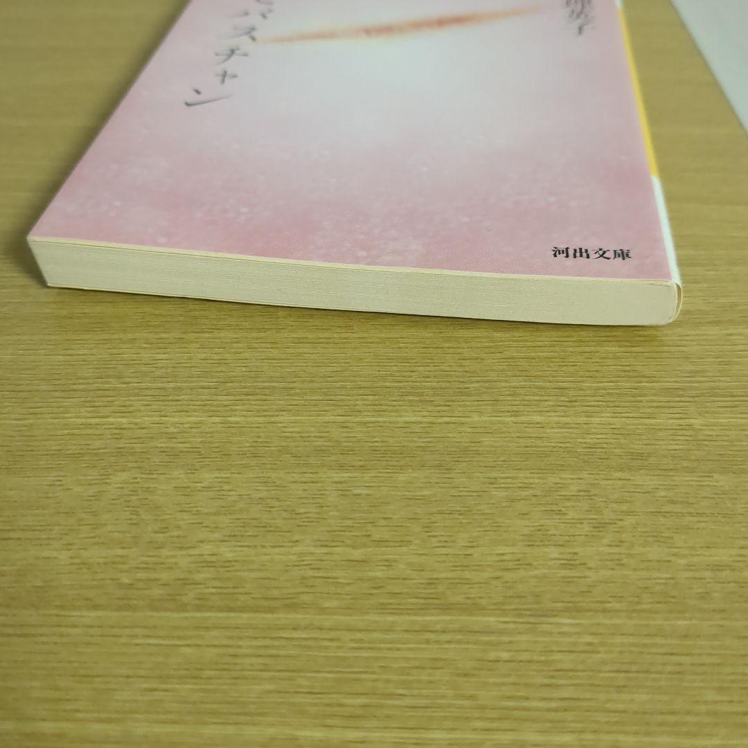 【新装版】セバスチャン 松浦理英子（河出文庫）