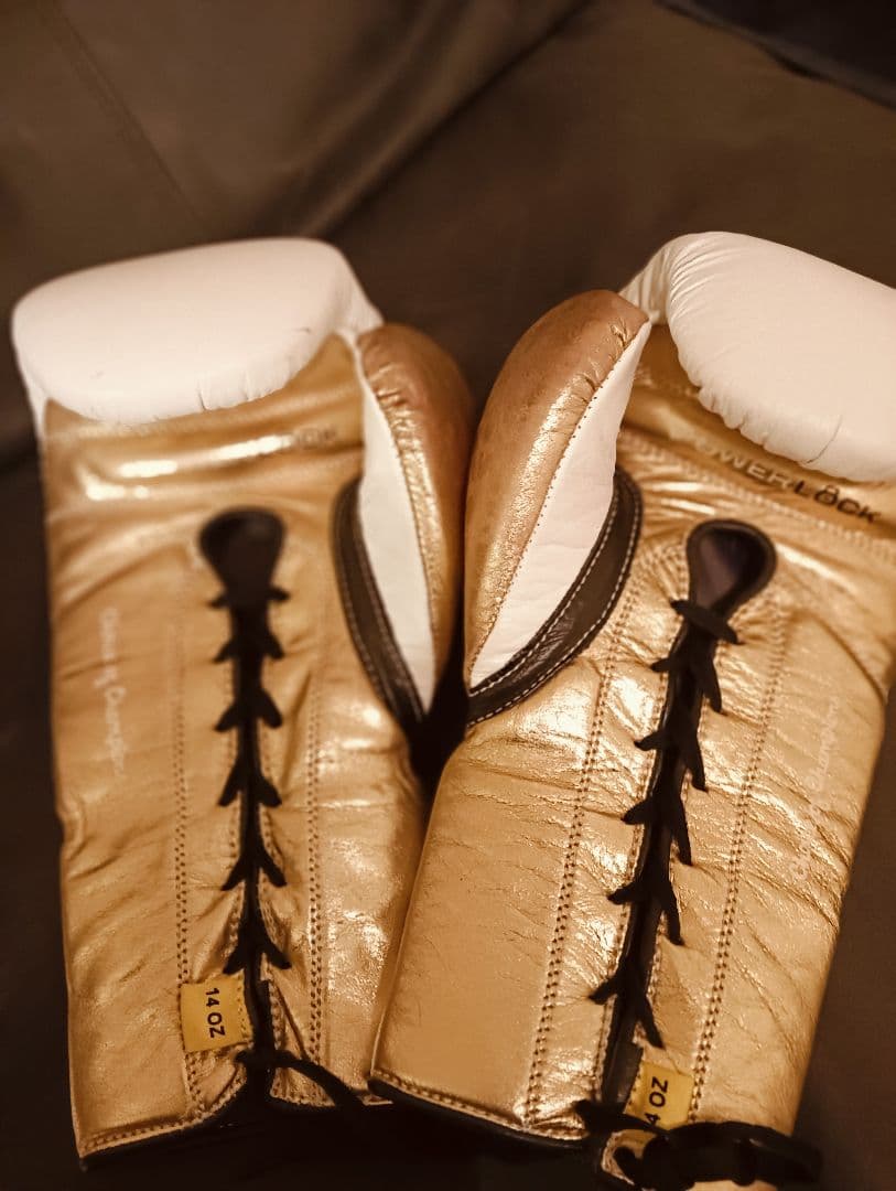 正規品　EVERLAST POWERLOCK ボクシンググローブ 14オンス美品