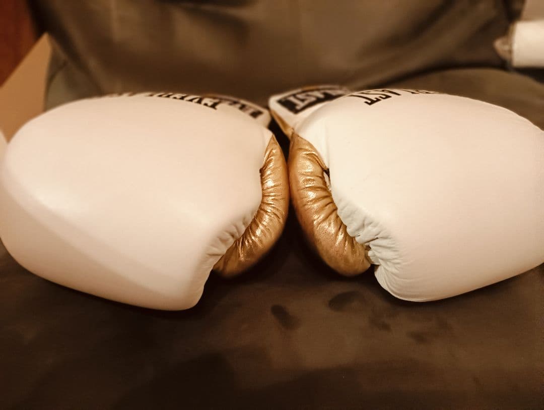 正規品　EVERLAST POWERLOCK ボクシンググローブ 14オンス美品