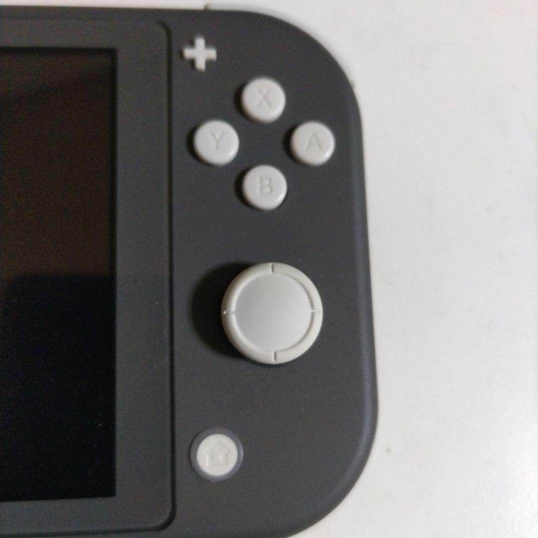 Nintendo Switch Lite グレー　本体のみ