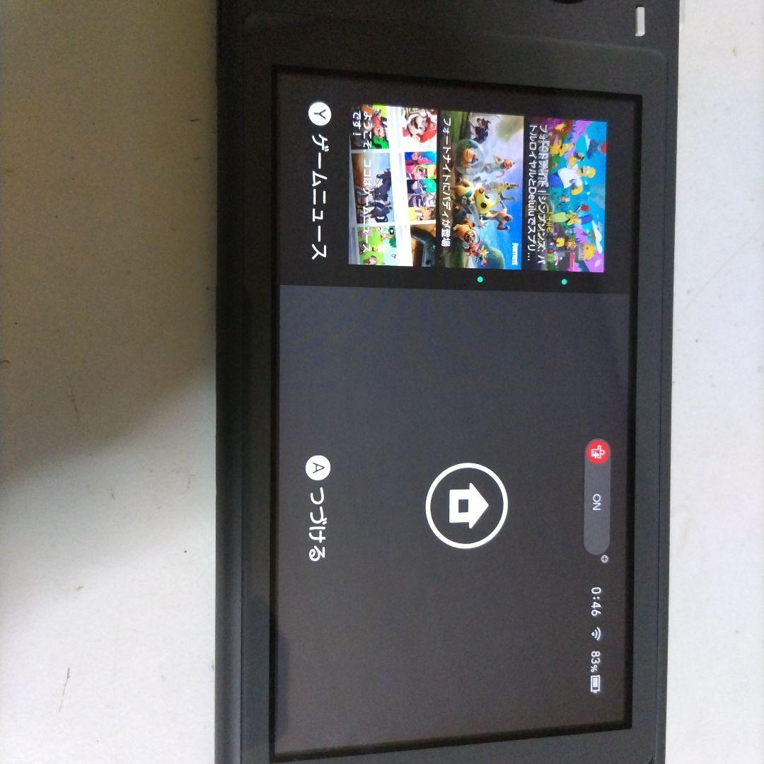 Nintendo Switch Lite グレー　本体のみ