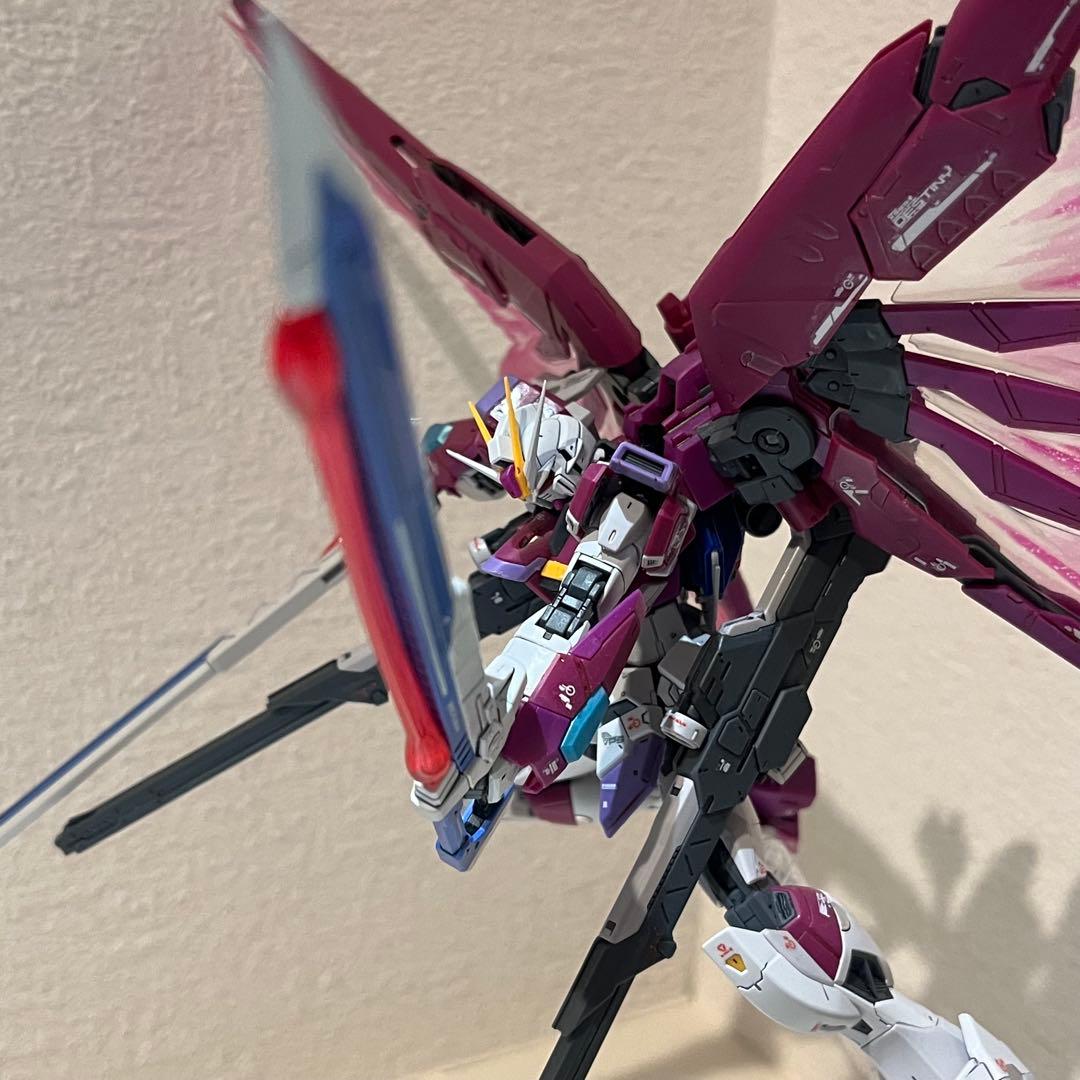 【組立・墨入れ済】RGデスティニーインパルスガンダム＆光の翼（プレバン）