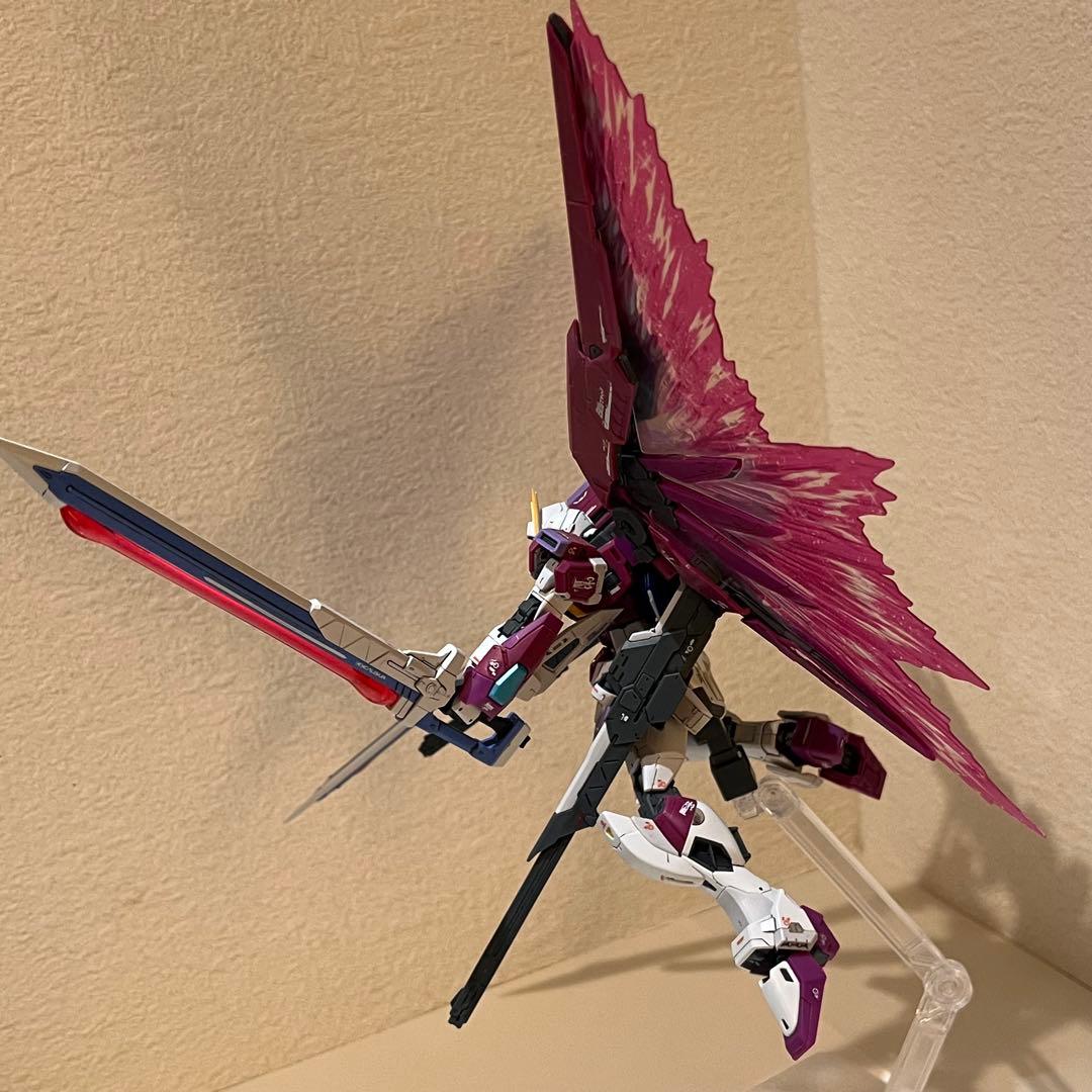 【組立・墨入れ済】RGデスティニーインパルスガンダム＆光の翼（プレバン）