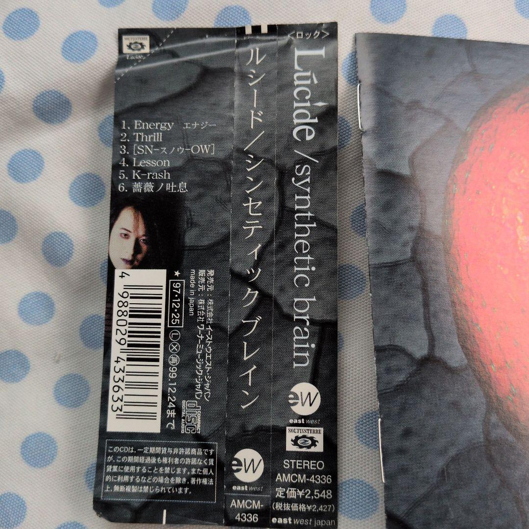 邦楽 Lucide synthetic brain AMCM-4336