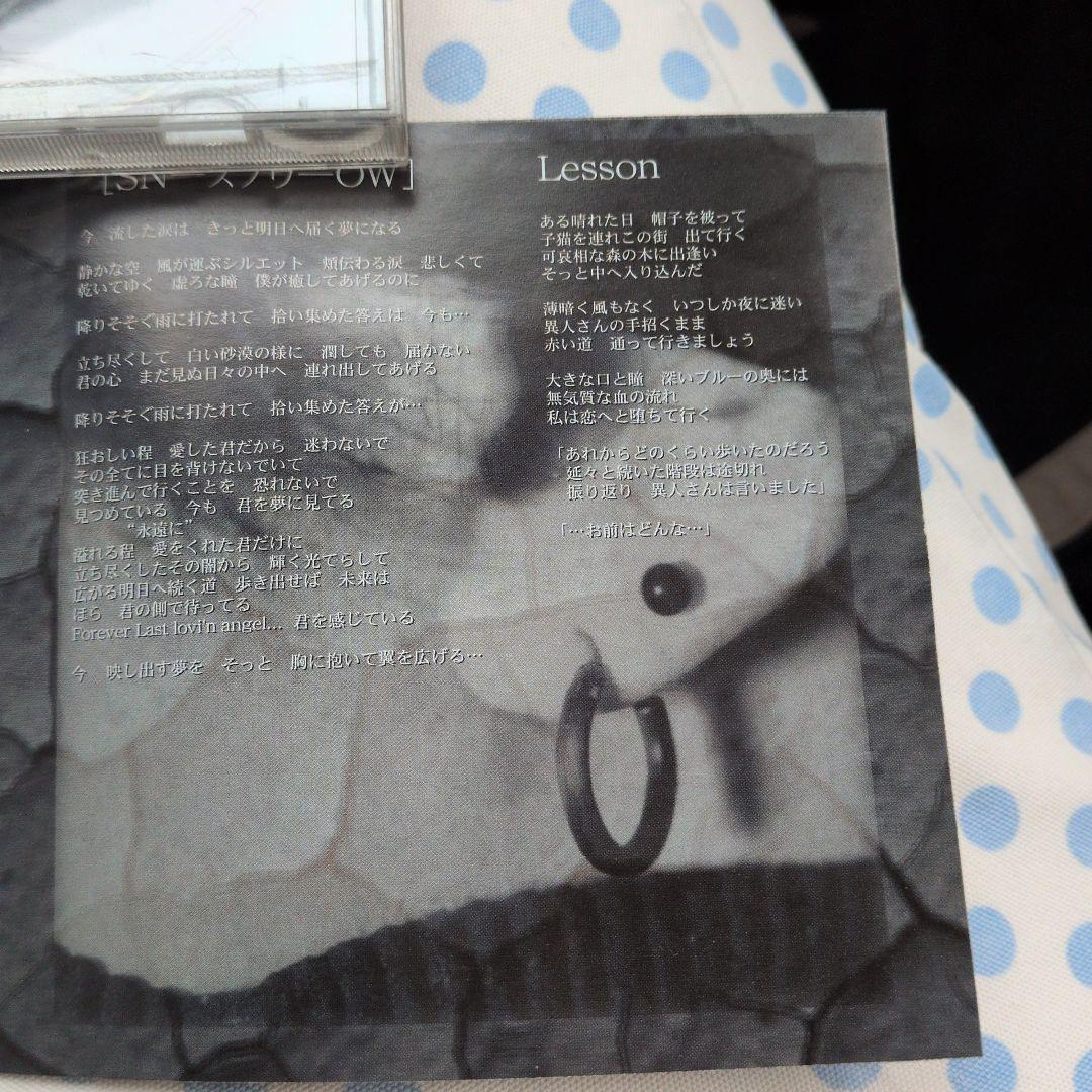 邦楽 Lucide synthetic brain AMCM-4336