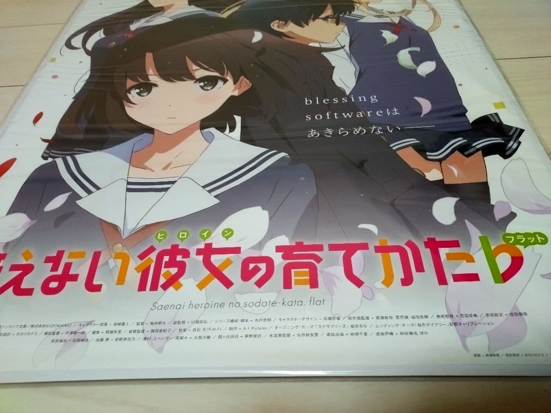 【非売品・未開封】テレビ放送告知ポスター　冴えない彼女の育てかた　公式　新品
