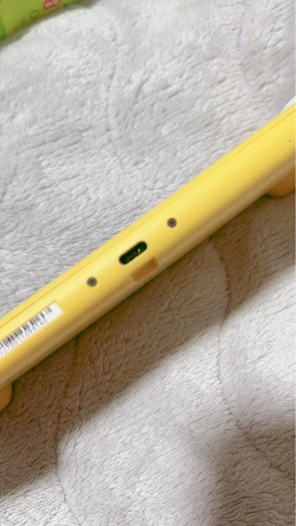 スイッチライト ジャンク ⚠️