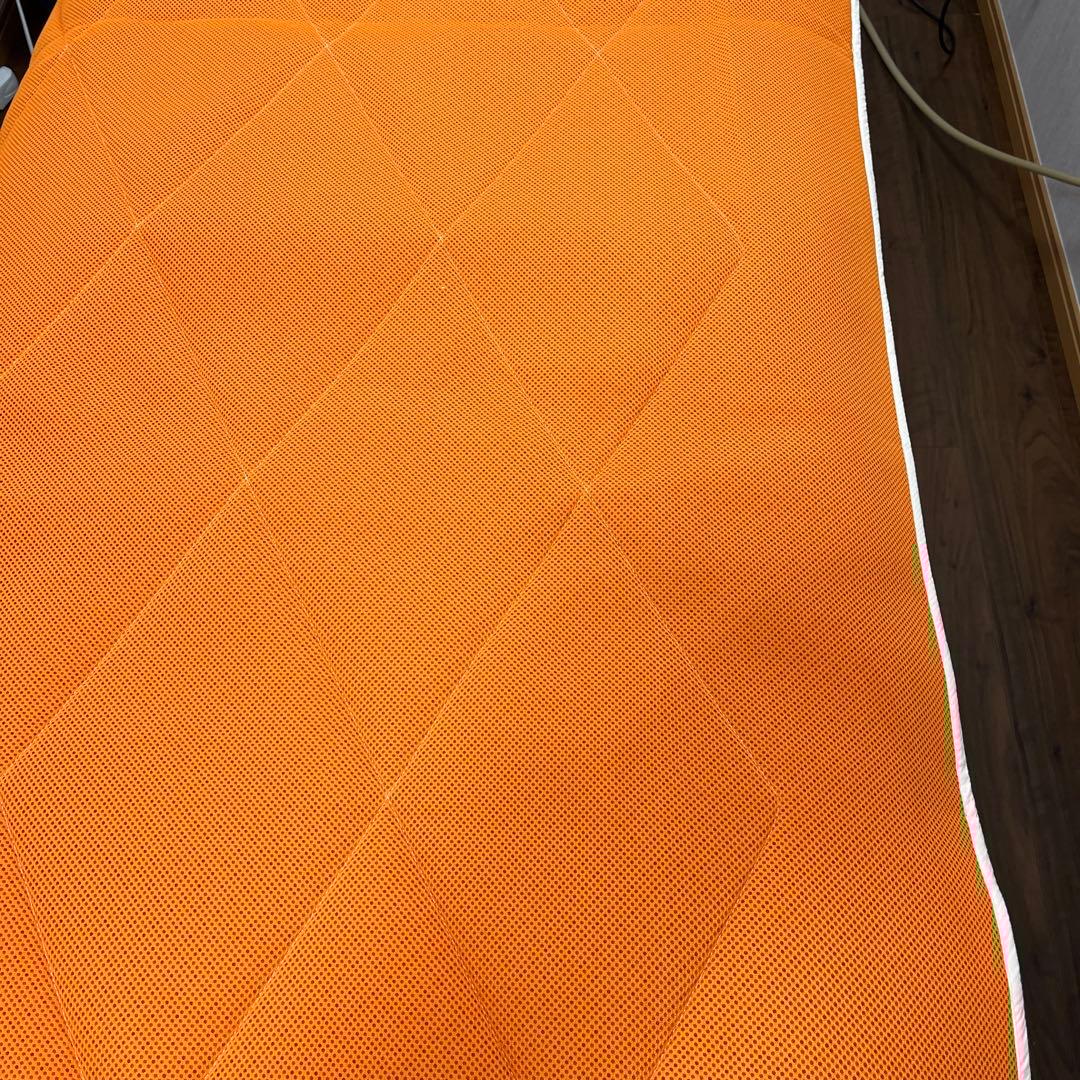 蓮花戯水　エネルギーパットネオ