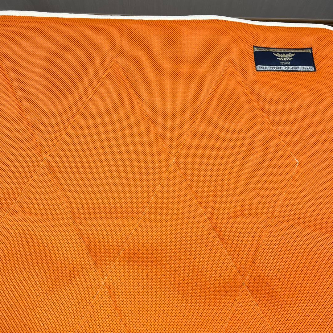 蓮花戯水　エネルギーパットネオ