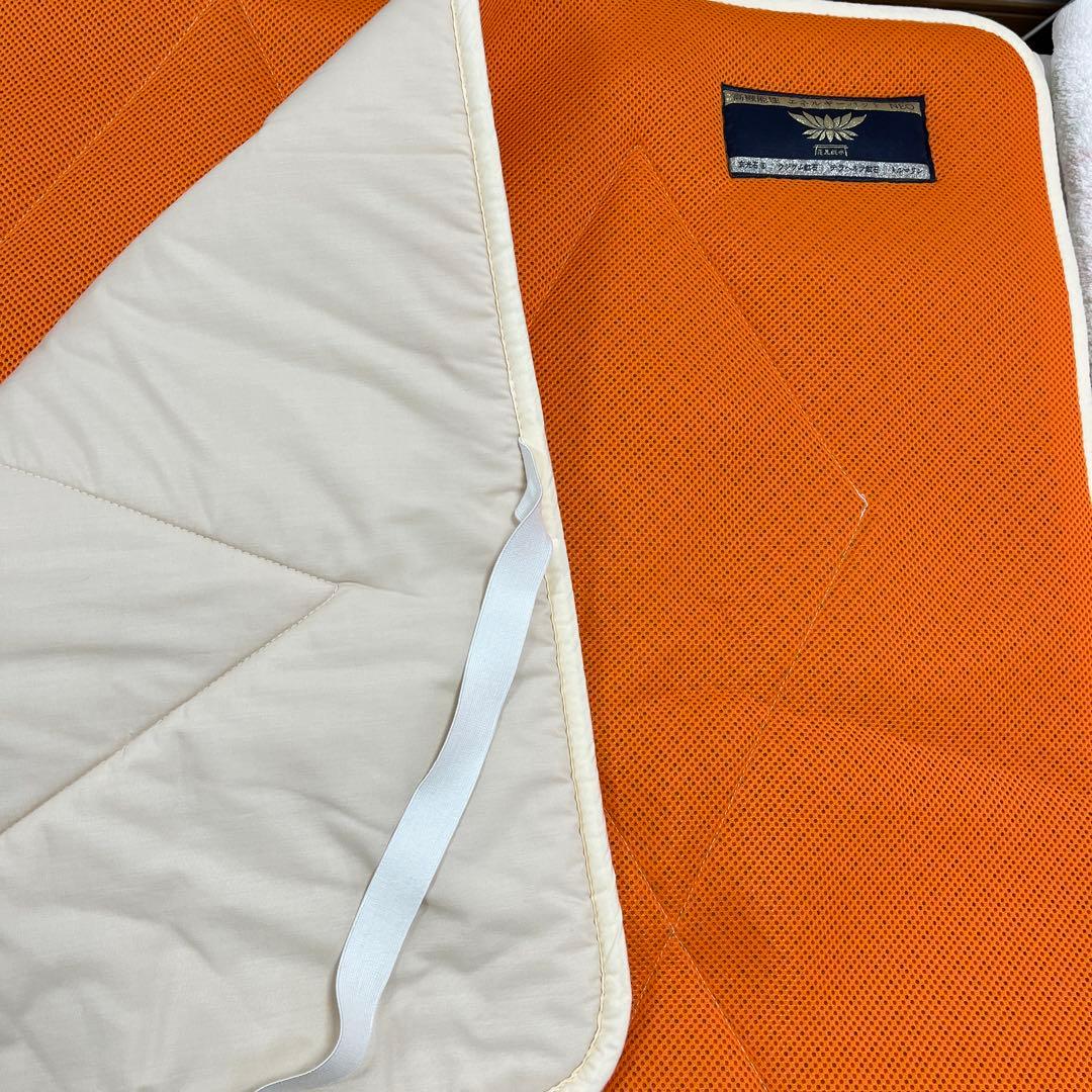 蓮花戯水　エネルギーパットネオ