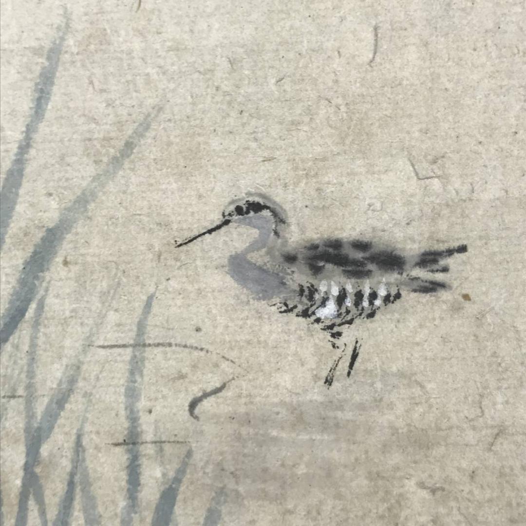 【真作】狩野伊川院/湖畔に水鳥図/山水図/横物/掛軸/名家伝来/AC-218