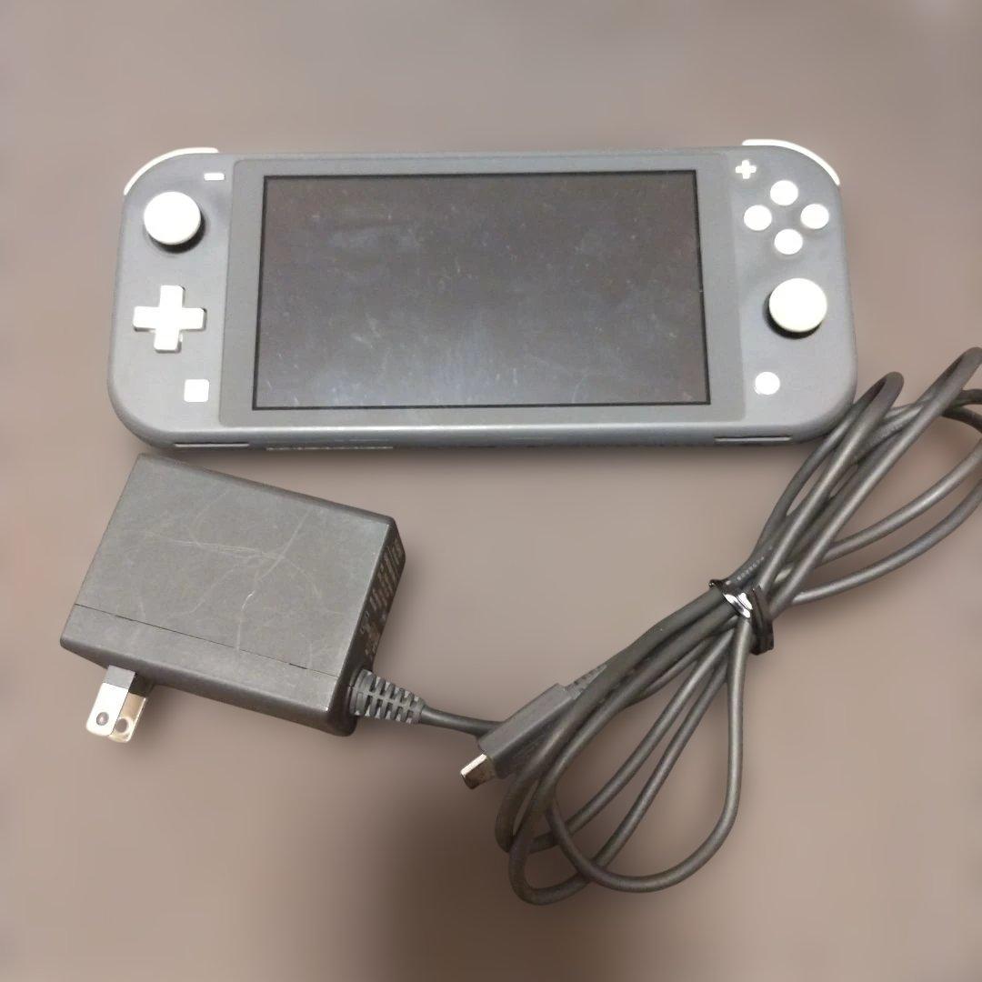 Nintendo Switch Lite グレー アダプター付き　液晶画面要確認