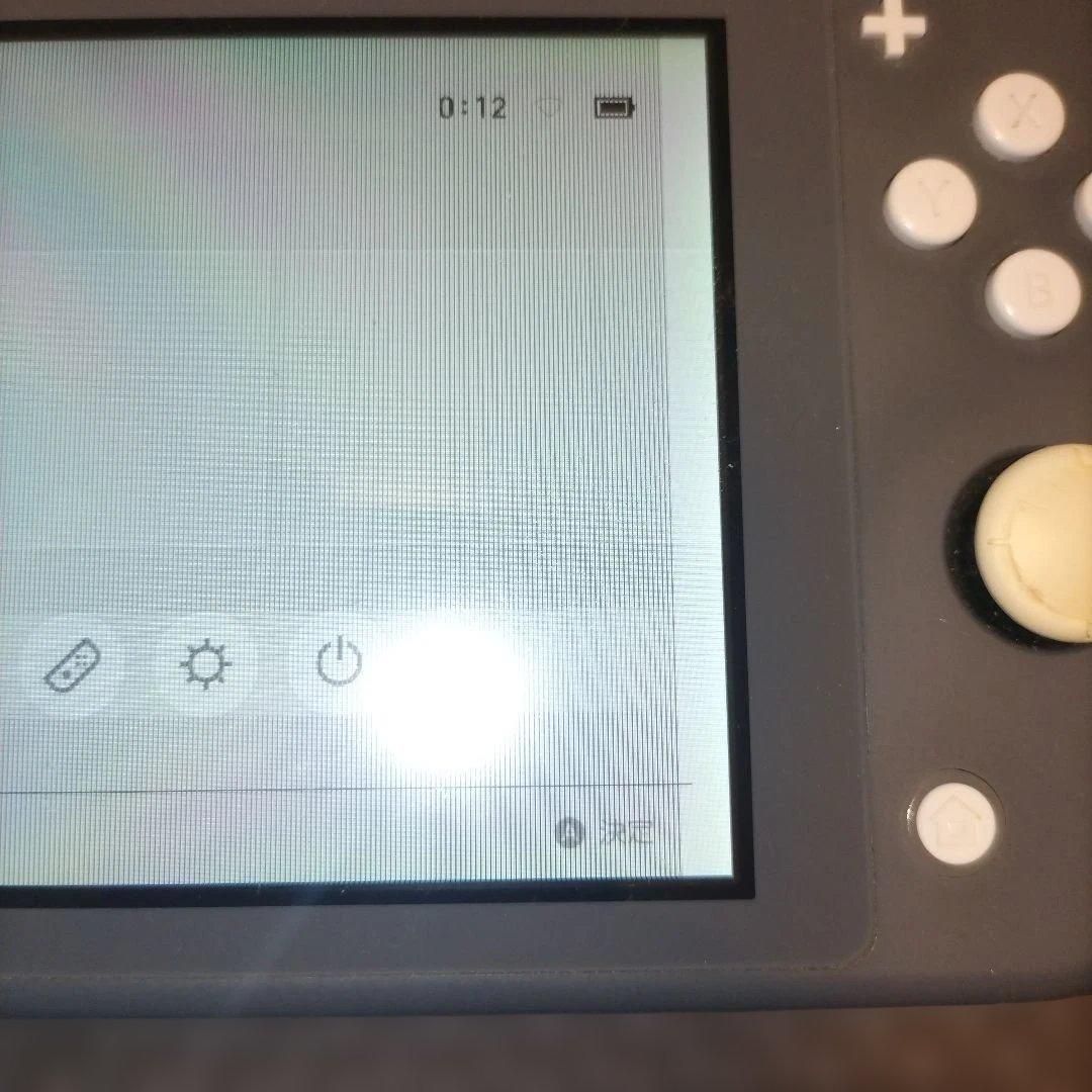 Nintendo Switch Lite グレー アダプター付き　液晶画面要確認