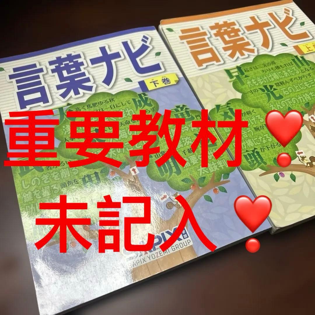 19-17か　重要教材　サピックス　SAPIX 言葉ナビ 上巻・下巻　未記入❣️