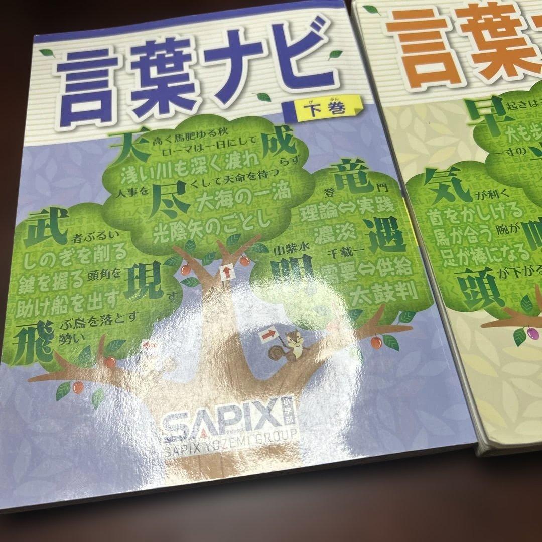 19-17か　重要教材　サピックス　SAPIX 言葉ナビ 上巻・下巻　未記入❣️