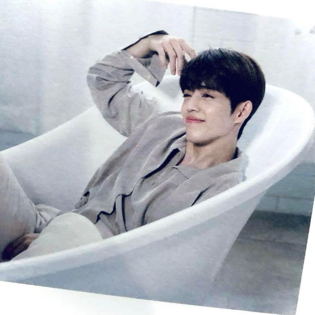 SEVENTEEN the saem ポラロイド チェキ トレカ エスクプス