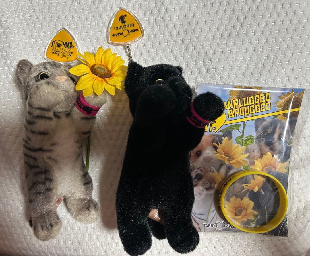 SOPHIA Kuro たっちぃZOOにゃんこmini リストバンドミニひまわり