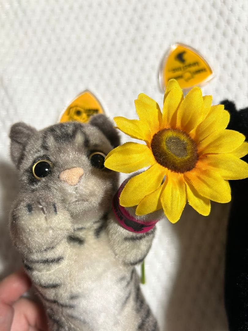 SOPHIA Kuro たっちぃZOOにゃんこmini リストバンドミニひまわり