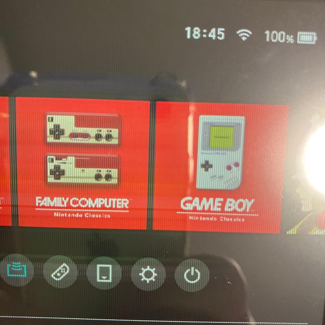 ジャンク ニンテンドー スイッチ ライト グレー 本体 アダプター 動作確認済