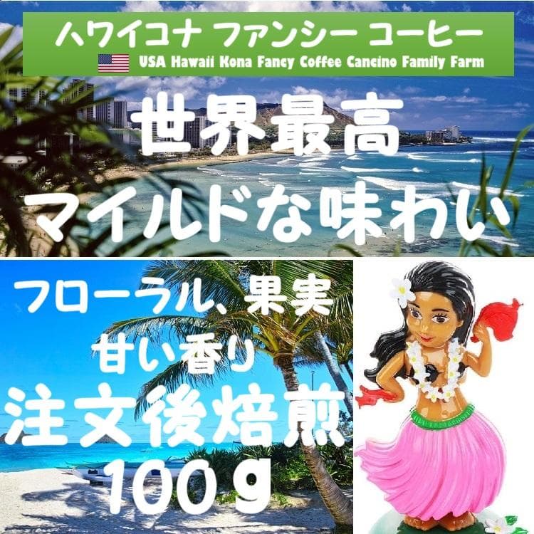 NNKK ブルーマウンテンNo.1　ハワイコナ　ファンシー等　コーヒー豆