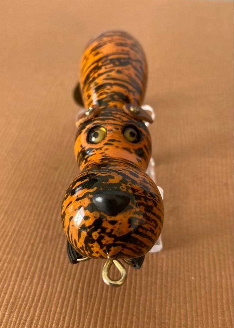 道楽 アナゴイヌ 虎 dowluck 桐箱付き