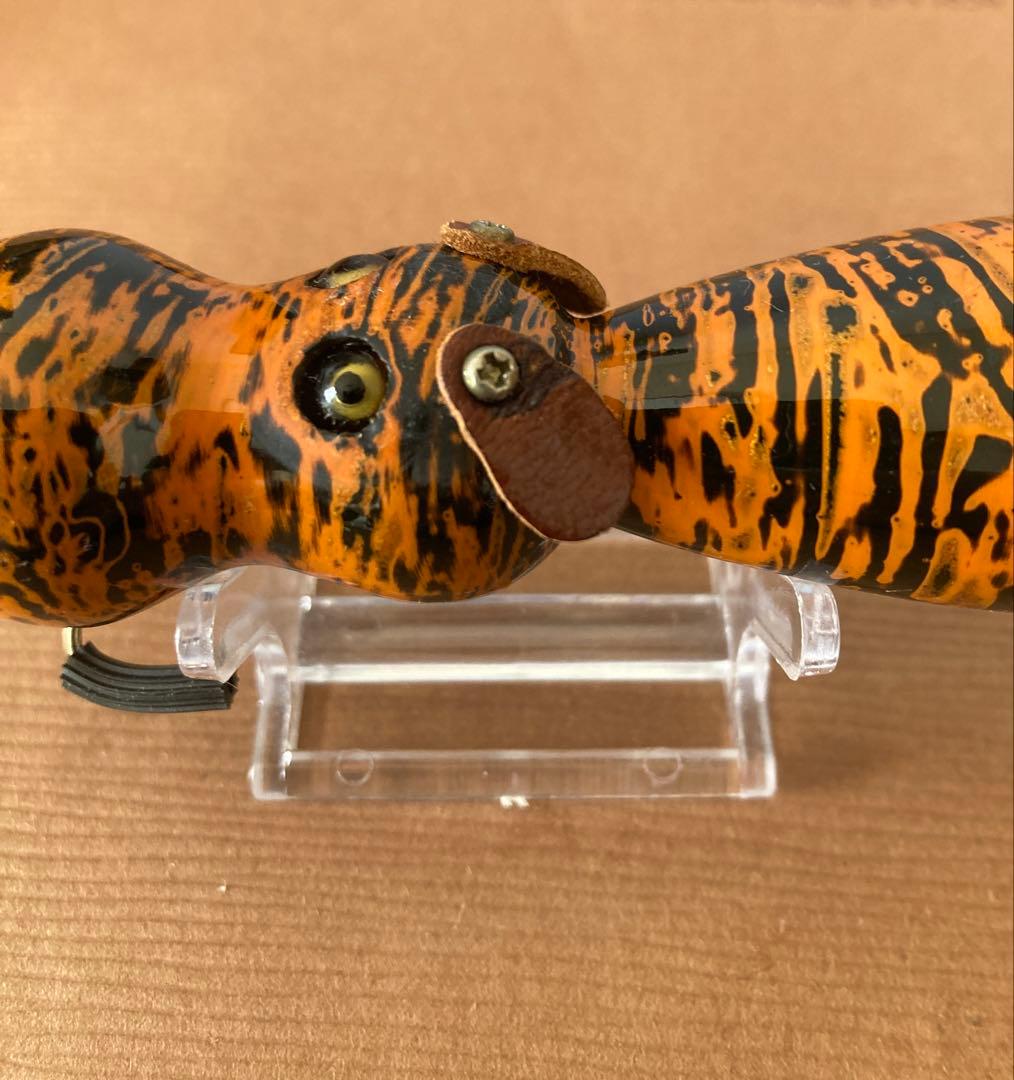 道楽 アナゴイヌ 虎 dowluck 桐箱付き