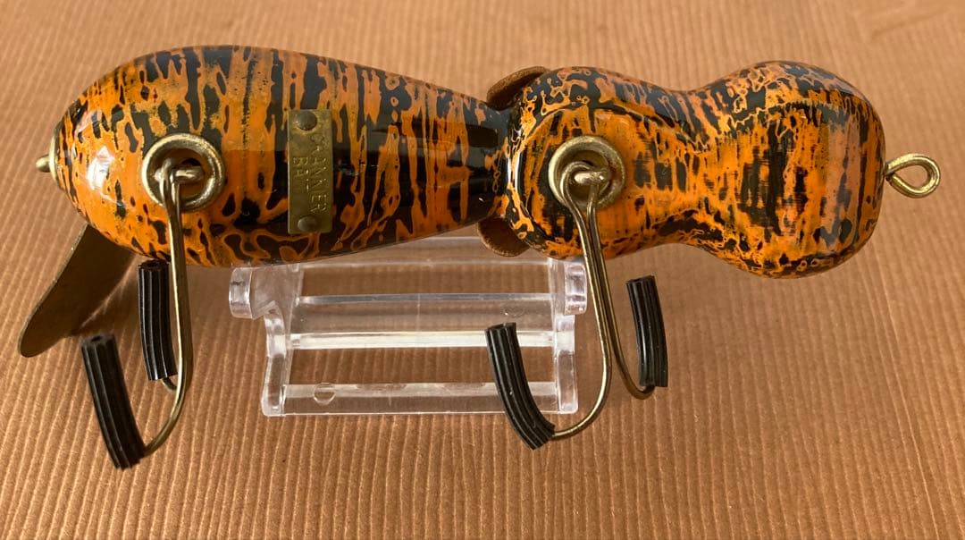 道楽 アナゴイヌ 虎 dowluck 桐箱付き