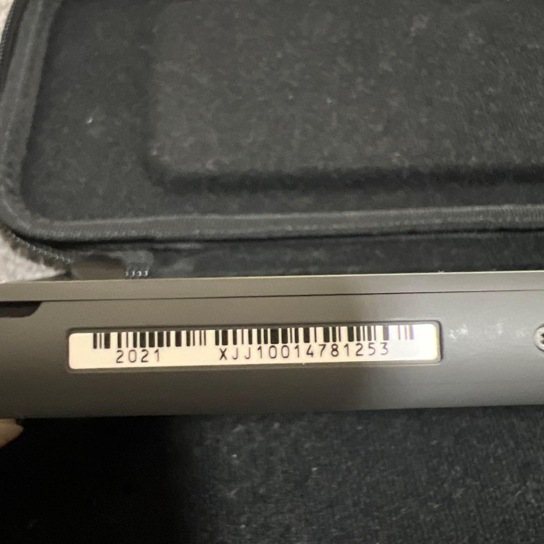 Nintendo Switch Lite グレー 本体+収納ケース付き