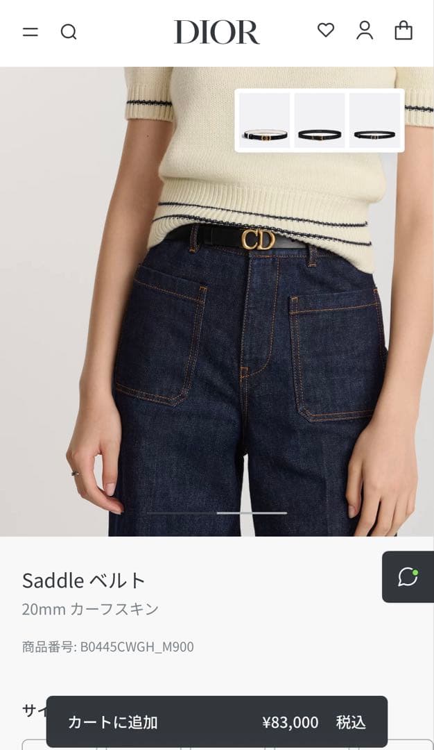 Dior saddle ベルト サドルベルト