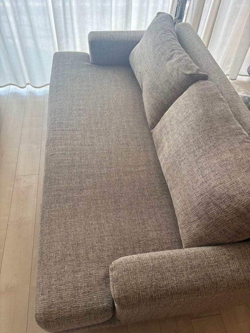 ワニ茶漬け　JFKソファ