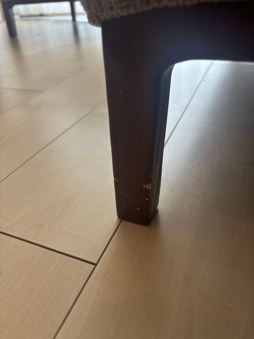 ワニ茶漬け　JFKソファ