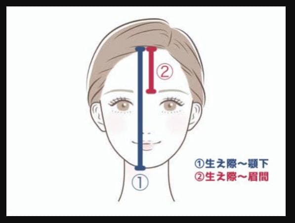 芽衣確認用ページ