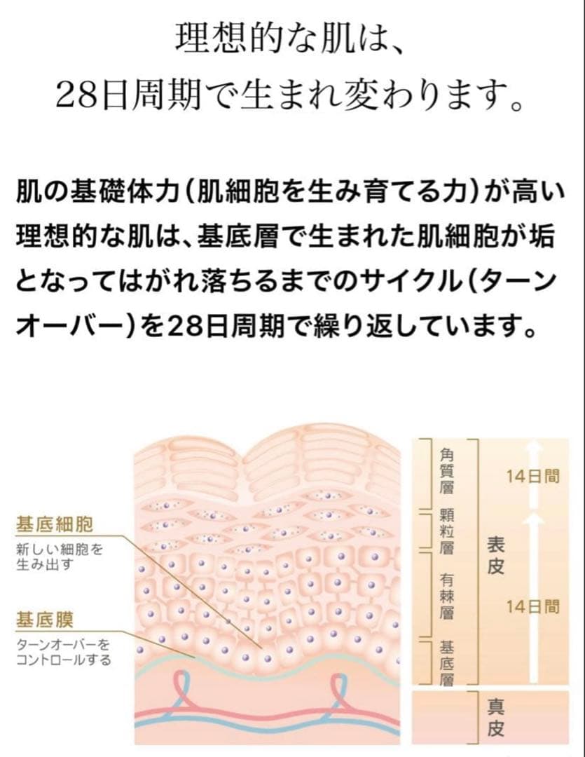 プログラム28＆マキシドールキット【新品】シャンソン化粧品