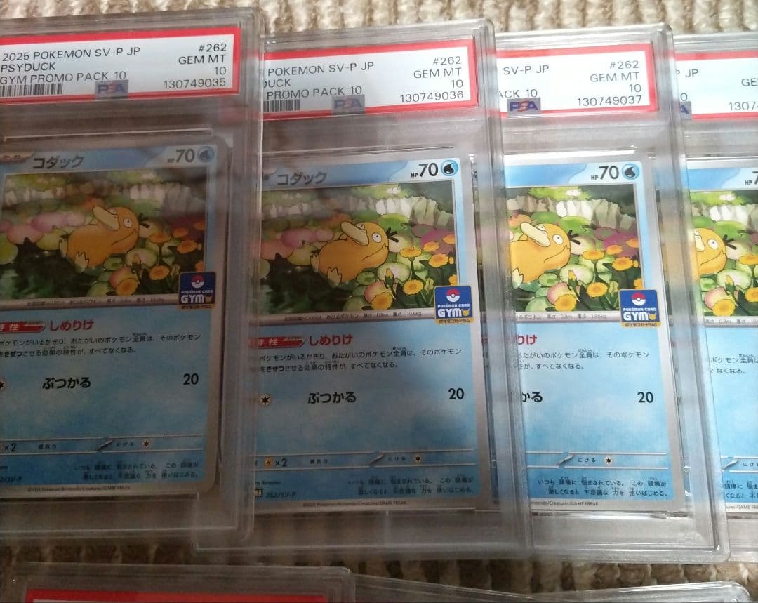 【PSA10】コダック しめりけ 262/SV-P ジムプロモ 20枚