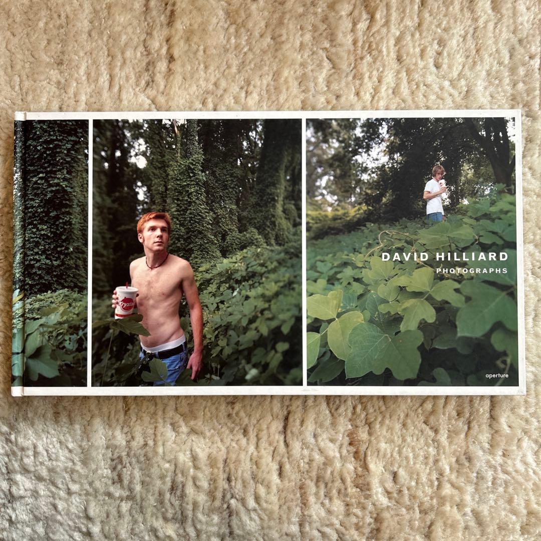 アート・デザイン・音楽 David Hilliard Photographs