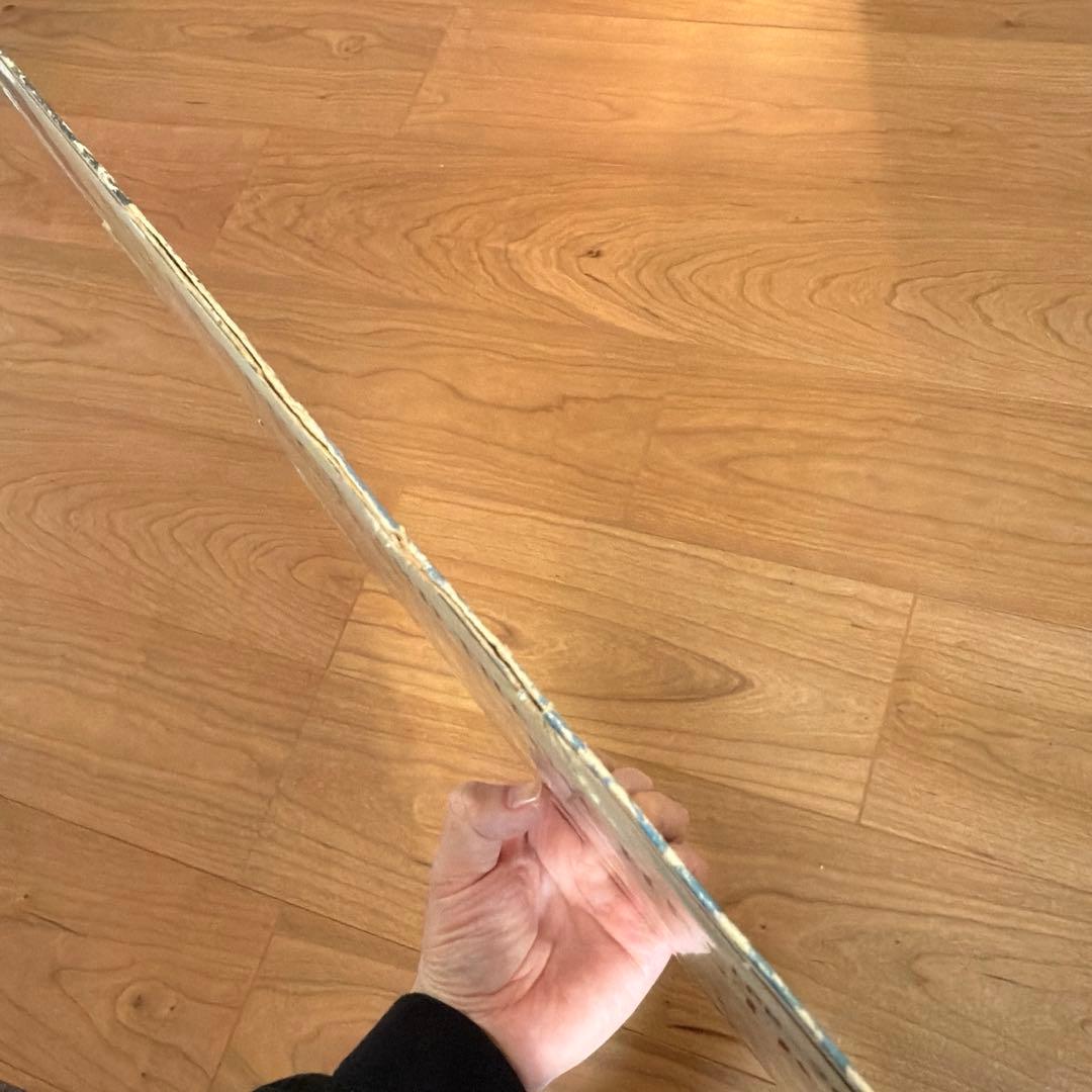 【レア】The Dutchy Brothers Orchestra