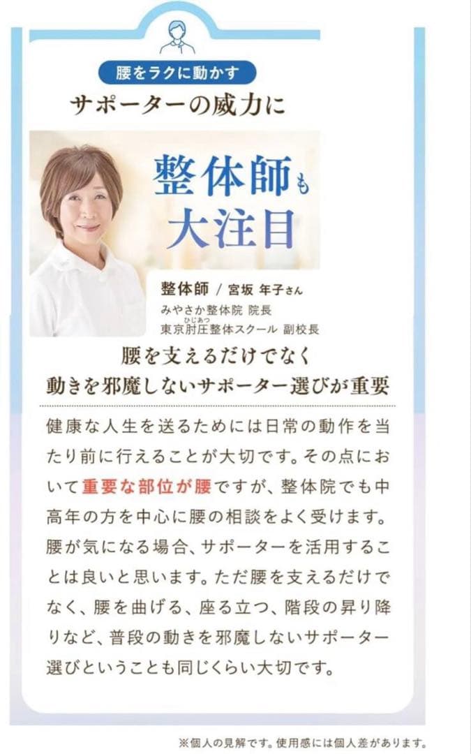 レミントン 体感エアーベルト腰用 LL-3L 腰サポーター 日本製