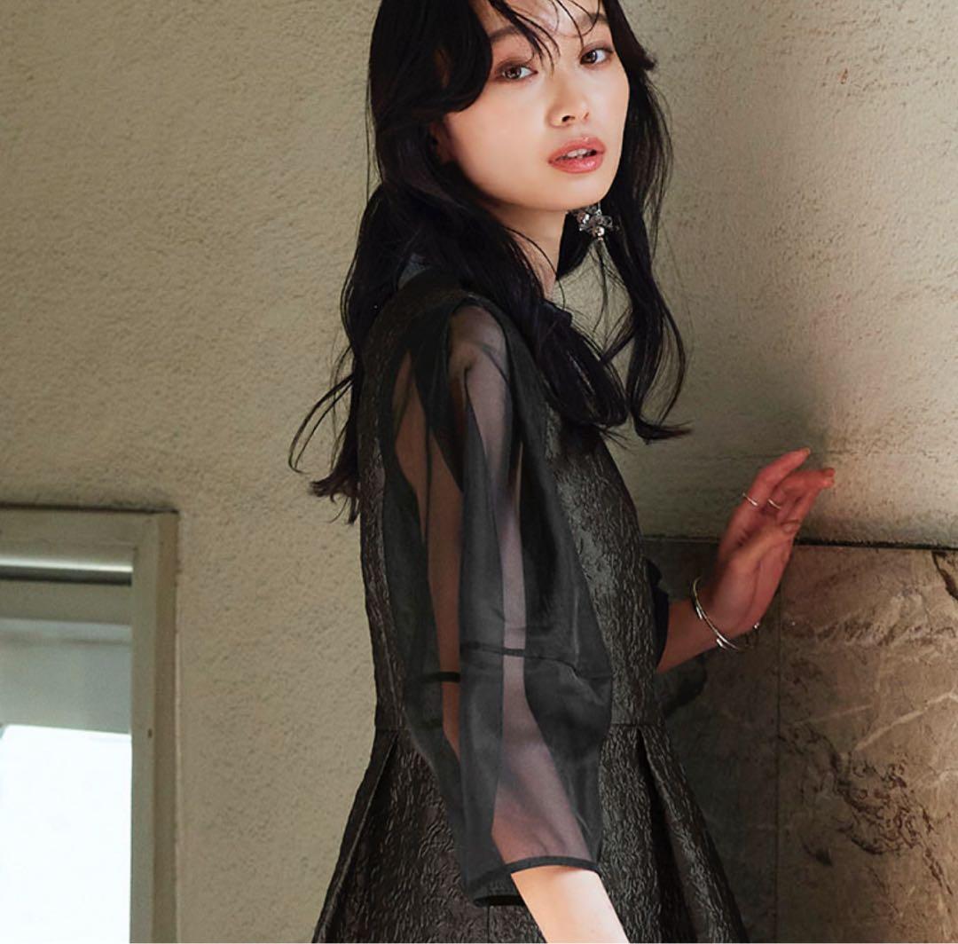 ルイルエブッティック　シアーランタンスリーブふくれジャカードドレス