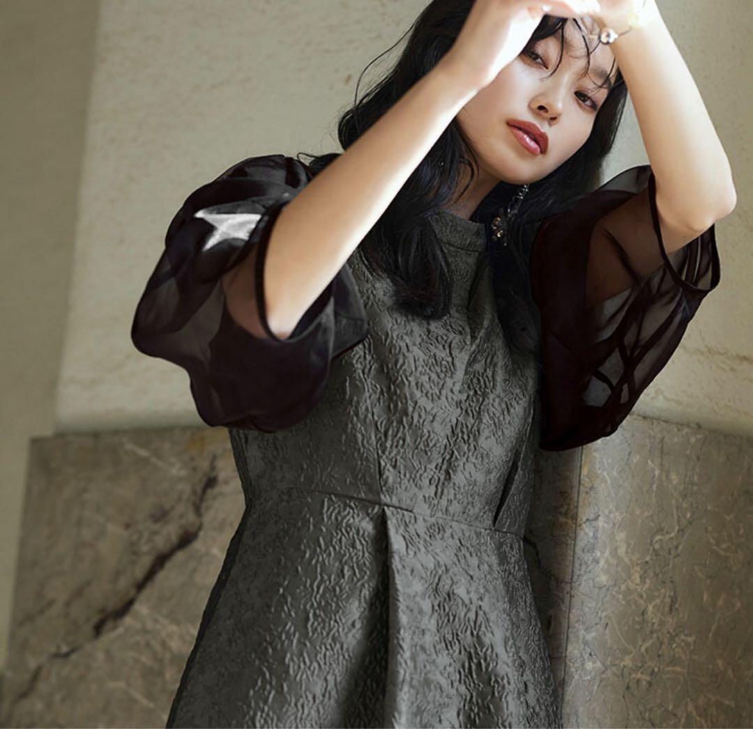 ルイルエブッティック　シアーランタンスリーブふくれジャカードドレス