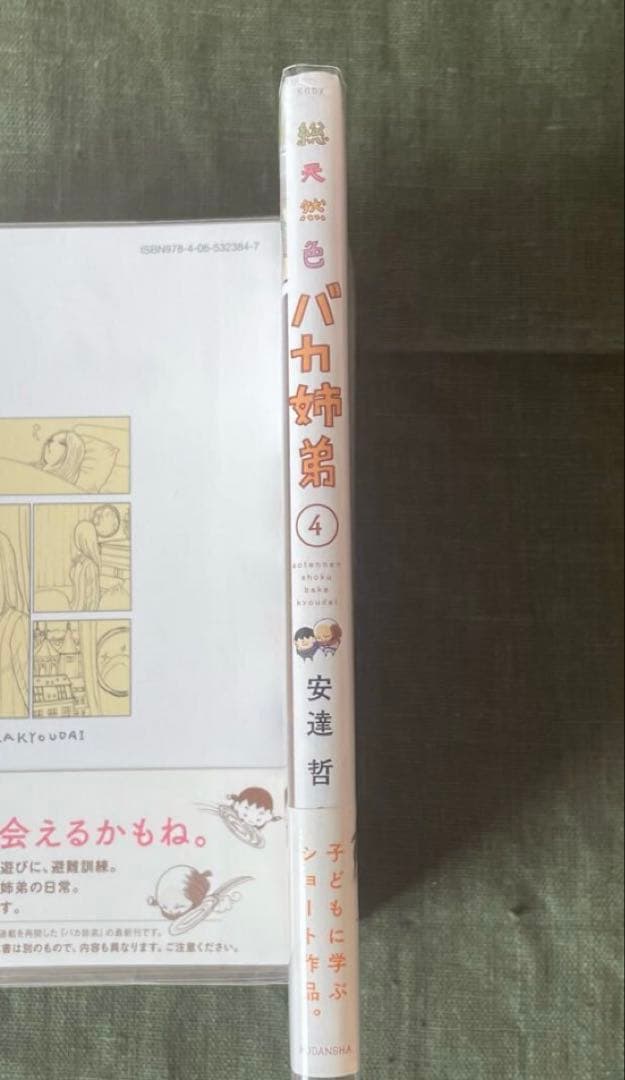 バカ姉弟 総天然色 帯付 初版 安達哲 4巻
