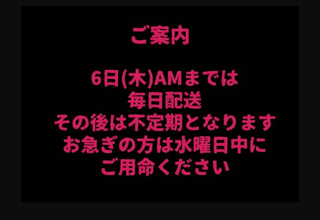 ボタニカルエアカラーフォーム ナチュラルブラック 150g 2個セット