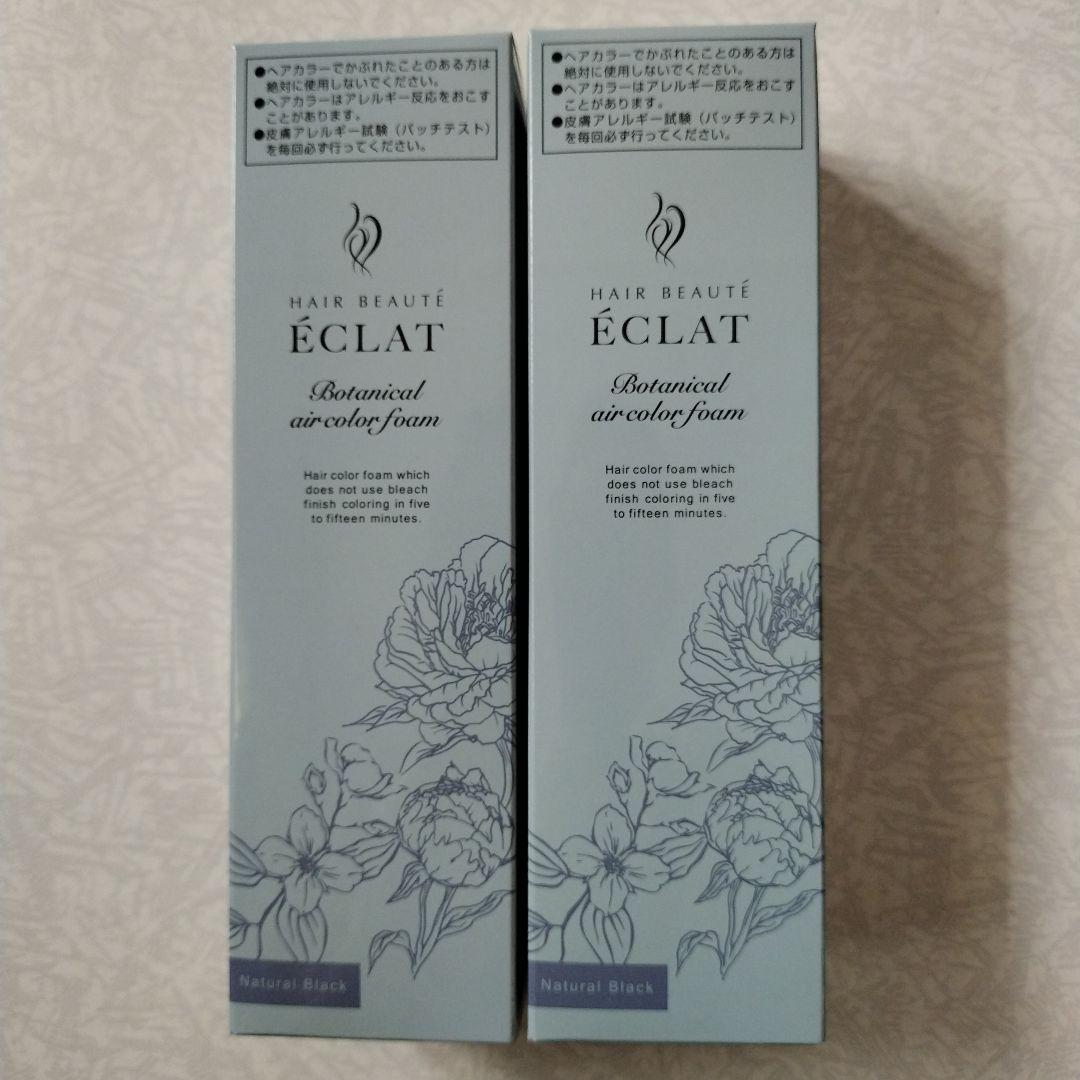 ÉCLAT エアカラー フォームup 150g２本セット