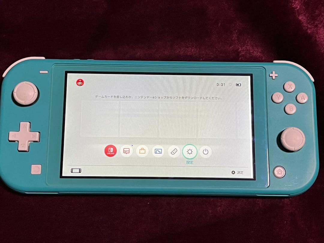 Switchライト　本体　ジャンク品